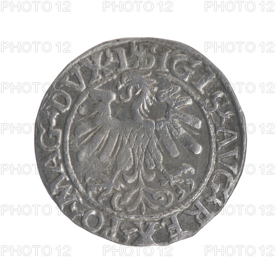 Lithuanian half-grosz, Sigismund II Augustus (King of Poland; 1544–1572); obv.: Polish Eagle, in the rim between pearly borders the inscription '.SIGIS.AVG.REX.PO.MAG.DVX.L'; rev.: Lithuanian Pogon, below the year '1559', in the rim between pearly borders the inscription '.MONETA.MAGNI.DVCAT9.LITV'; 1559; Grand Duchy of Lithuania; Vilnius; coin; dia. 19.5–19.6 mm; weight 1.29 g; coats of arms: Jagiellons dynasty; motifs: eagles, Pogon (coat of arms).