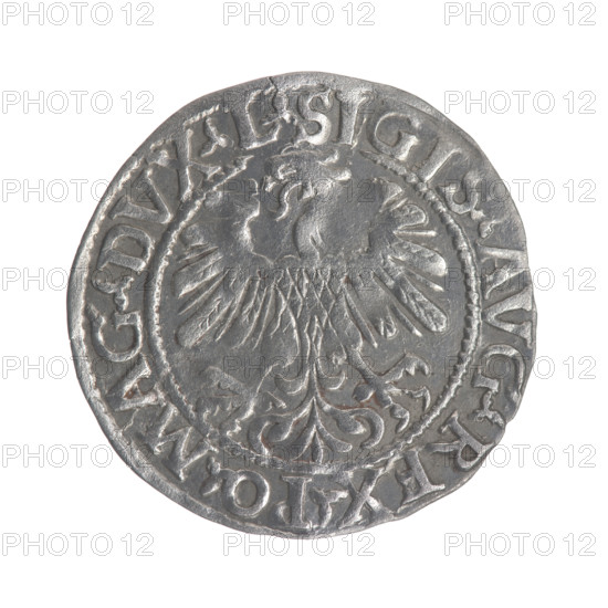 Lithuanian half-grosz, Sigismund II Augustus (King of Poland; 1544–1572). Obverse: Polish Eagle; in the rim between pearly borders the inscription '.SIGIS.AVG.REX.PO.MAG.DVX.L'. Reverse: Lithuanian Pogon; below the year '1559'; in the rim between pearly borders the inscription '.MONETA.MAGNI.DVCAT9.LITVA'. 1559. Jagiellon dynasty; Grand Duchy of Lithuania (Vilnius), Poland. Coin; diameter ~19.6–20.0 mm; weight 0.91 g.