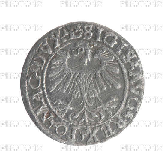 Lithuanian half-grosz, Sigismund II Augustus (King of Poland; 1544–1572). Obverse: Polish eagle; in the rim between pearly borders the inscription '.SIGIS.AVG.REX.PO.MAG.DVX.L'. Reverse: Lithuanian Pogon, below the year '1559'; in the rim between pearly borders the inscription '.MONETA.MAGNI.DVCAT9.LITVA'. 1559. Grand Duchy of Lithuania, Vilnius. Coin (dia. 19.1–19.6 mm), weight 1.11 g.