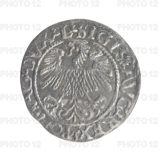 Lithuanian half-grosz, Sigismund II Augustus (King of Poland; 1544–1572); coats of arms; Jagiellons (dynasty); Polish coins; eagles; Eagle (coat of arms); Pogon (coat of arms; Lithuania). Obv.: Polish Eagle; in the rim between pearly borders the inscription SIGI.AVG.REX.P.AG.DVX.L. Rev.: Lithuanian Pogon; below the year 1560; in the rim between pearly borders the inscription MONETA.MAGNI.DVCAT9.LITV. 1560. Grand Duchy of Lithuania, Vilnius. Coin. Diameter 19.3–19.8 mm; weight 1.2 g.