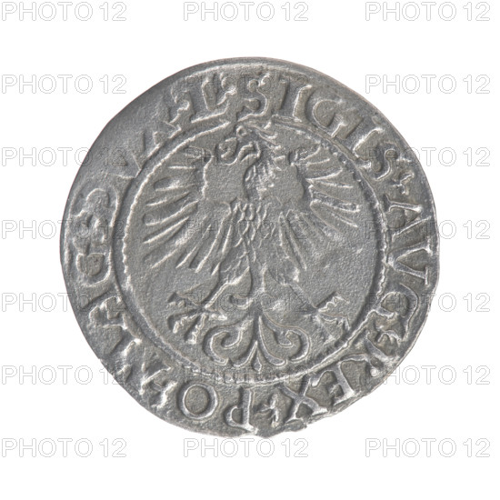 Lithuanian half-grosz, Sigismund II Augustus (King of Poland; 1544–1572). Obverse: Polish Eagle; in the rim between pearly borders the inscription '.SIGIS.AVG.REX.PO.MAG.DVX.L'. Reverse: Lithuanian Pogon, below the year '1561'; in the rim between pearly borders the inscription '.MONETA.MAGNI.DVCAT9.LITVA'. 1561. Grand Duchy of Lithuania, Vilnius. Coin; diameter 19.5–19.7 mm, weight 0.92 g.