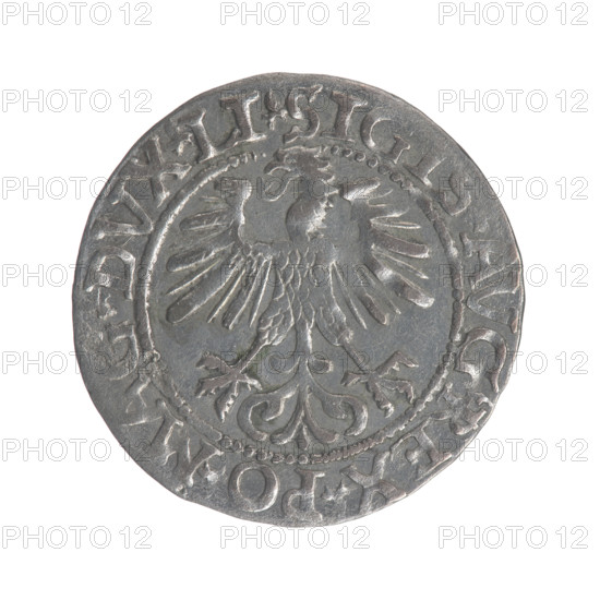 Lithuanian half-grosz, Sigismund II Augustus (King of Poland; 1544–1572). Obverse: Polish eagle; in the rim between pearly borders the inscription '.SIGIS.AVG REX.PO.MAG.DVX.LI'. Reverse: Lithuanian Pogon; below the year '1561'; in the rim between pearly borders the inscription '.MONETA.MAGN.DVCAT9.LITVA'. 1561. Grand Duchy of Lithuania, Vilnius. Coin; diameter 19.5–19.8 mm; weight 1.17 g.