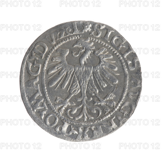 Lithuanian half-grosz, Sigismund II Augustus (King of Poland; 1544–1572). Obverse: Polish eagle; in the rim between pearly borders the inscription '.SIGIS.AVG.REX.PO.MAG.DV'. Reverse: Lithuanian Pogon (coat of arms), below the year '1560'; in the rim between pearly borders the inscription '.MONETA.MAGNI.DVCAT.TV'. Jagiellon dynasty; Polish coins; Grand Duchy of Lithuania; coin dated 1560. Diameter c. 19.0–19.5 mm; weight c. 1.2 g.
