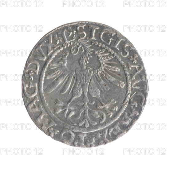 Lithuanian half-grosz, Sigismund II Augustus (King of Poland; 1544–1572). Obverse: Polish eagle; in the rim between pearly borders the inscription “.SIGIS.AVG.REX.PO.MAG.DVX.L”. Reverse: Lithuanian Pogon; below the year 1561; in the rim between pearly borders the inscription “.MONETA.MAGNI.DVCAT9.LITV”. 1561. Grand Duchy of Lithuania (Vilnius). Coin; diameter ~19.2–19.5 mm; weight 1.24 g. Coats of arms: Jagiellons; Polish eagle; Pogon (Lithuanian knight).