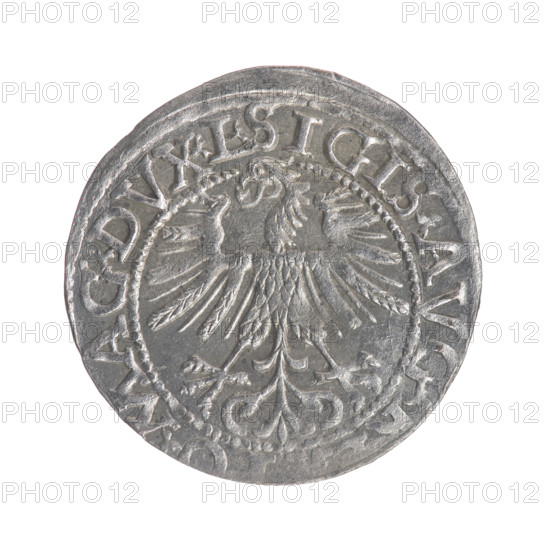 Lithuanian half-grosz, Sigismund II Augustus (King of Poland; 1544–1572). Obverse: Polish Eagle; in rim between pearly borders inscription: .SIGIS.AVG., O.MAG.DVX.L. Reverse: Lithuanian Pogon; below year 156Z; in rim between pearly borders inscription: .MON. A.MAGNI.DVCAT9.LITV. Dated 1562. Grand Duchy of Lithuania, Vilnius. Coin (Polish), diameter ~19.6–20.0 mm, weight 1.18 g.