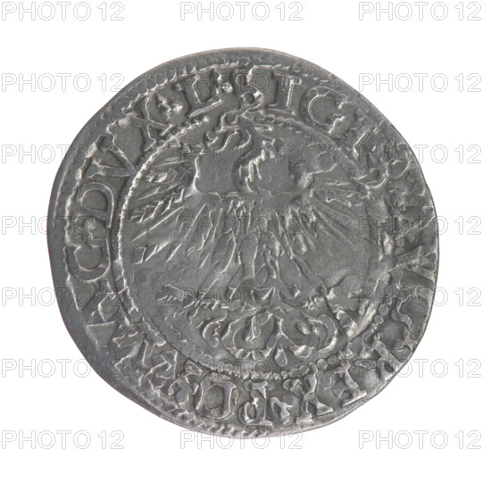 Lithuanian half-grosz, Sigismund II Augustus (King of Poland, 1544–1572); obverse: Polish Eagle with rim inscription SIGI.VG.REX.P.AG.DVX.L; reverse: Lithuanian Pogon with below date 156? and rim inscription MONETA.MAGNI.DVCAT. LITVA; dated 1562; Grand Duchy of Lithuania, Vilnius; silver coin; diameter ~20–21 mm; weight 1.13 g; features coats of arms of the Jagiellon dynasty (eagle and Pogon).