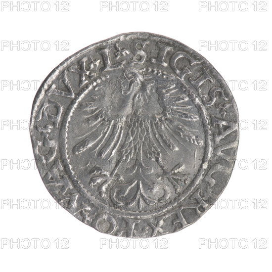 Lithuanian half-grosz, Sigismund II Augustus (King of Poland; 1544–1572). Obverse: Polish Eagle; in the rim between pearl-shaped borders an inscription: .SIGIS.A, .REX.PO.MAG.DVX.L. Reverse: Lithuanian Pogon; below year 156Z; in the rim between pearl-shaped borders an inscription divided by the Axe coat of arms: .MONETA.MAGNI - DVCAT.LITV. Dated 1562. Grand Duchy of Lithuania, Vilnius. Coin (Polish-Lithuanian), diameter ca. 19.7–20.2 mm, weight 1.2 g.