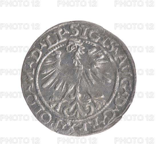 Lithuanian half-grosz, Sigismund II Augustus (King of Poland; 1544–1572); emblems, Jagiellons (dynasty); Polish coins; eagles; Eagle (emblem); Pogon (emblem; Lithuania). Obv.: Polish Eagle, in the rim between pearl-shaped borders an inscription: .SIGIS.AVG.DGREX.POLO.MDLI. Rev.: Lithuanian Pogon, below the year 1563, in the rim between pearl-shaped borders an inscription divided by the Axe coat of arms: .MONETA.MAGNI - DVCAT.LITVA. 1563. Grand Duchy of Lithuania, Vilnius, Poland. Coin. Diameter 19.0–19.2 mm; weight 1.17 g.