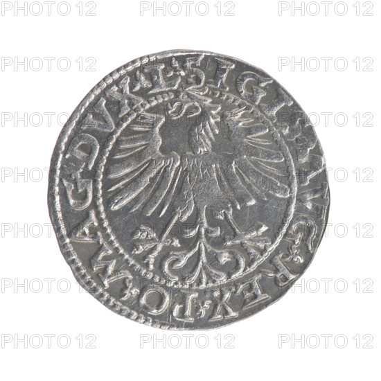Lithuanian half-grosz, Sigismund II Augustus (King of Poland; 1544–1572). Obverse: Polish Eagle, in the rim between pearly borders an inscription: .SIGIS.AVG.REX.PO.MAG.DVX.L. Reverse: Lithuanian Pursuer, below the year 1563, in the rim between pearly borders an inscription divided by the Axe coat of arms: .MONETA.MAGNI - DVCAT., TV. Maker/associated name: Tarlo, Gabriel (ca. 1486–1565). Coats of arms: Jagiellons (dynasty), eagles, Eagle (coat of arms), Pursuer (coat of arms; Lithuania). Date: 1563. Place: Grand Duchy of Lithuania, Vilnius, Poland. Type: coin (half-grosz). Diameter: 19.0–19.2 mm. Weight: 1.15 g.