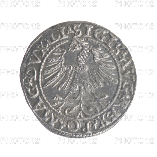 Lithuanian half-grosz, Sigismund II Augustus (King of Poland; 1544–1572). Obverse: Polish Eagle; in the rim between pearl-shaped borders an inscription: .SIGIS.AVG.REX.PO.MAG.DVX.LI. Reverse: Lithuanian Pogon, below the year 1563; in the rim between pearl-shaped borders an inscription divided by the Axe coat of arms: .MONETA.MAGNI - DVCAT.LITVA. 1563. Maker: Tarlo, Gabriel (ca. 1486–1565). Emblems: Jagiellons dynasty, eagle, Pogon. Function: coin (half-grosz). Materials/style: Polish–Lithuanian coinage. Grand Duchy of Lithuania / Vilnius. Diameter ca. 18.8–19.5 mm; weight 1.19 g.