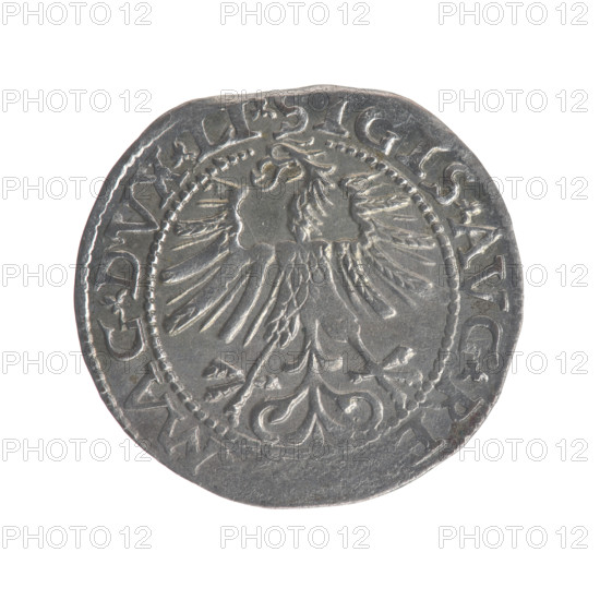 Lithuanian half-grosz, Sigismund II Augustus (King of Poland; 1544–1572), Tarlo, Gabriel (ca. 1486–1565); coats of arms: Jagiellons (dynasty), Polish Eagle, Pursuit (Lithuania), Topór. Obverse: Polish Eagle; in the rim between the pearl borders the inscription: .SIGIS.AVG.RE, MAG.DVX.LI. Reverse: Lithuanian Pursuit; below the year 1563; in the rim between the pearl borders an inscription divided by the Topór coat of arms: .MO, MAGNI - DVCAT.LITV. Date: 1563. Grand Duchy of Lithuania (Vilnius), Poland; coin.