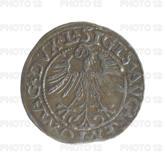 Lithuanian half-grosz, Sigismund II Augustus (King of Poland; 1544–1572). Obverse: Polish Eagle; in the rim between pearly borders an inscription: .SIGIS.AVG.REX., .MAG.DVX.L Reverse: Lithuanian Pogon; below the year 1563; in the rim between pearly borders an inscription divided by the Topór coat of arms: .MONETA., CAT.LITV, 1563. Maker: Tarlo, Gabriel (ca. 1486–1565). Coats of arms: Jagiellon dynasty, eagles, Eagle (coat of arms), Pogon (coat of arms; Lithuania). Grand Duchy of Lithuania, Vilnius, Poland. Coin; diameter 19.0–19.5 mm; weight 1.15 g.