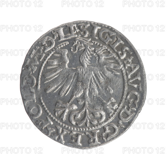 Lithuanian half-grosz, Sigismund II Augustus (King of Poland; 1544–1572). Obverse: Polish Eagle; in the rim between pearl-shaped borders an inscription: .SIGIS.AVG.DGREX.POLO.MDLI. Reverse: Lithuanian Pogon; below the year 1563; in the rim between pearl-shaped borders an inscription divided by the Axe coat of arms: .MONETA.MAGNI - DVCAT.LITVA. 1563. Materials/style: coin of the Grand Duchy of Lithuania (Vilnius, Poland). Dimensions: diameter 19.5–20.0 mm; weight 1.19 g. Makers/associations: emblems of the Jagiellons; eagles; Pogon.