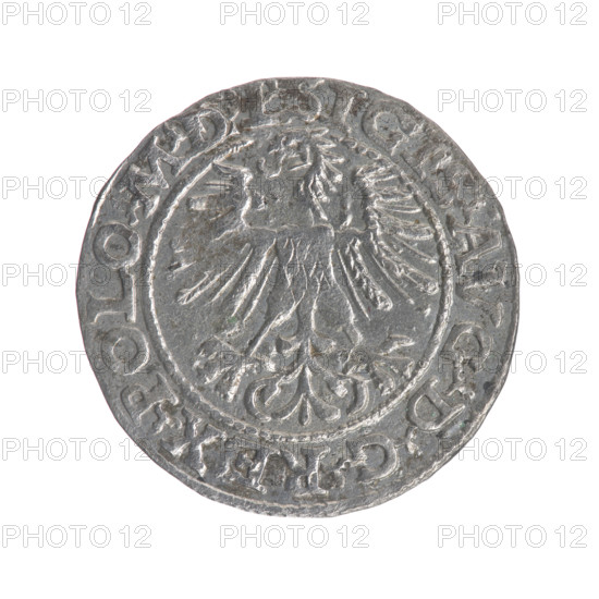 Lithuanian half-grosz, Sigismund II Augustus (King of Poland; 1544–1572). Obv.: Polish Eagle; in rim between pearly borders an inscription: .SIGIS.AVG.DGREX.POLO.MDL. Rev.: Lithuanian Pursuer, below the year 1564, in rim between pearly borders an inscription divided by the Axe coat of arms: .MONETA.MAGNI - DVCAT.LITV. Date: 1564. Materials/Type: coin (Grand Duchy of Lithuania, Vilnius, Poland). Features: coats of arms (Jagiellons dynasty), eagles; Pursuer (coat of arms; Lithuania). Measurements: diameter 19.0–19.2 mm; weight 1.22 g. Maker: Gabriel Tarlo (ca. 1486–1565).