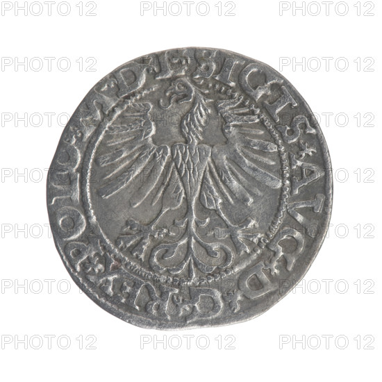 Lithuanian half-grosz, Sigismund II Augustus (King of Poland; 1544–1572); maker: Gabriel Tarlo (ca. 1486–1565). Obverse: Polish Eagle; rim inscription between pearly borders: .SIGIS.AVG.DGREX.POLO.MDL. Reverse: Lithuanian Pursuer; below the year 1564; rim inscription between pearly borders divided by the Axe coat of arms: .MONETA.MAGNI - DVCAT.LITV. Dated 1565. Grand Duchy of Lithuania (Vilnius), Poland. Coin; diameter 19.0–20.0 mm; weight 1.05 g.