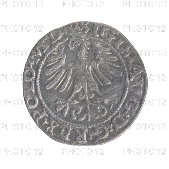 Lithuanian half-grosz, Sigismund II Augustus (King of Poland; 1544–1572), maker: Gabriel Tarlo (ca. 1486–1565). Obverse: Polish Eagle; in the rim between pearl-shaped borders an inscription: .SIGIS.AVG.DGREX.POLO.MDL. Reverse: Lithuanian Pogon, below the year 1565; in the rim between pearl-shaped borders an inscription divided by the Axe coat of arms: .MONETA.MA,I-DVCAT.,V,1565. Emblems: Jagiellons (dynasty), eagles, Pogon. Grand Duchy of Lithuania, Vilnius. Coin; diameter ~19.0–19.4 mm; weight 1.15 g.