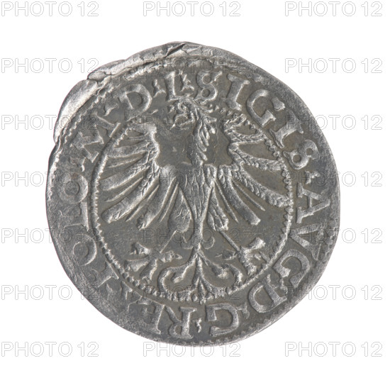 Lithuanian half-grosz, Sigismund II Augustus (King of Poland; 1544–1572). Obverse: Polish Eagle; in the rim between pearl-shaped borders an inscription: .SIGIS.AVG.DGREX.POLO.MDL. Reverse: Lithuanian Pogon; below the year 1565; in the rim between pearl-shaped borders an inscription divided by the Axe coat of arms: .MONETA.MAGNI - , AT.LITV. Dated 1565. Maker/issuer: Tarlo, Gabriel (ca. 1486–1565). Emblems: Jagiellons (dynasty), eagles, Pogon. Grand Duchy of Lithuania, Vilnius, Poland. Coin; diameter ~19.4–20.7 mm; weight ~1.1 g.