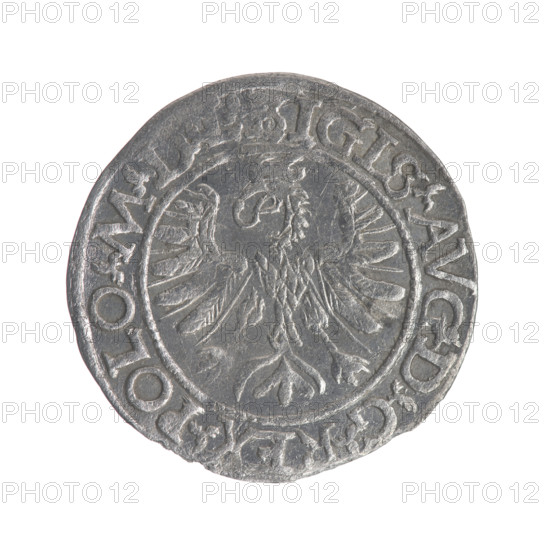Lithuanian half-grosz, Sigismund II Augustus (King of Poland; 1544–1572), struck by Myszkowski, Stanislaw (?-1570). Obverse: Polish Eagle; in rim between pearly borders an inscription: .SIGIS.AVG.DGREX.POLO.MDL. Reverse: Lithuanian Pogon; below year 15-66, in rim between pearly borders an inscription divided by the Jastrzebiec coat of arms: .MONETA.MAG.-DVCAT.LIT. Date: 1566. Grand Duchy of Lithuania, Tykocin. Coin; diameter 19.0–19.4 mm; weight 1.07 g.