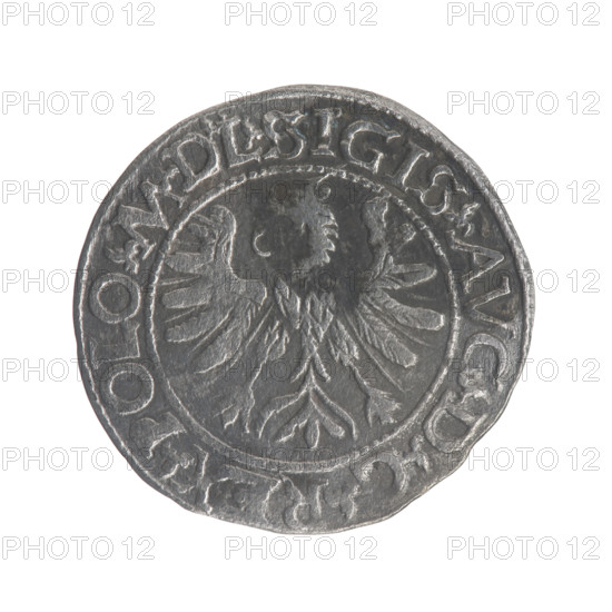 Lithuanian half-grosz, Sigismund II Augustus (King of Poland; 1544–1572). Obverse: Polish Eagle with rim inscription .SIGIS.AVG.DGREX.POLO.MDL between pearl-shaped borders. Reverse: Lithuanian Pogon with date 15-66 below, rim inscription divided by the Jastrzebiec coat of arms: .MON, A.MAG, I - DVCAT.LIT, 1566. Maker: Myszkowski, Stanislaw (?-1570). Emblems: Jagiellons (dynasty), eagles, Pogon (emblem; Lithuania). Function: coin (half-grosz). Grand Duchy of Lithuania, Tykocin, Poland. Diameter: 19.0–20.3 mm. Weight: 1.1 g.