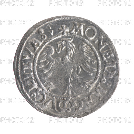 Lithuanian halfgrosz, Sigismund II Augustus (King of Poland; 1544–1572). Obverse: Lithuanian Pogon (mounted knight); in the rim between pearly borders the inscription: .SIGIS.AVG.REX.POL.MDL. Reverse: Polish Eagle; in the rim between pearly borders the inscription: .MONETA.MAG.DVC.LITVA. Date: 1545–1566. Grand Duchy of Lithuania, Vilnius. Coin (Poland/Lithuania). Diameter: 19.7–20.0 mm. Weight: 1.12 g. Subjects/styles: coats of arms, Jagiellon dynasty, eagles, Pogon.