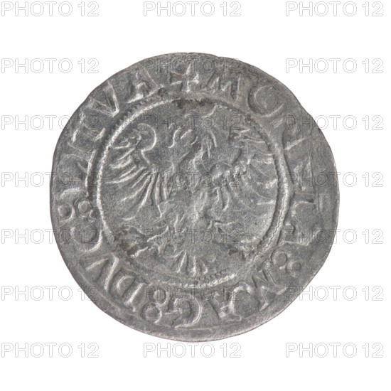 Lithuanian half-grosz, Sigismund II Augustus (King of Poland; 1544–1572). Obverse: Lithuanian Pogon (mounted knight); in the rim between pearly borders the inscription '.SIGIS.AVG.' Reverse: Polish eagle; in the rim between pearly borders the inscription '.MONETA.MAG.DVC.LITVA.' Date: 1545–1566. Grand Duchy of Lithuania (Vilnius). Coin (half-grosz), diameter 19.0–19.3 mm, weight 1.12 g.