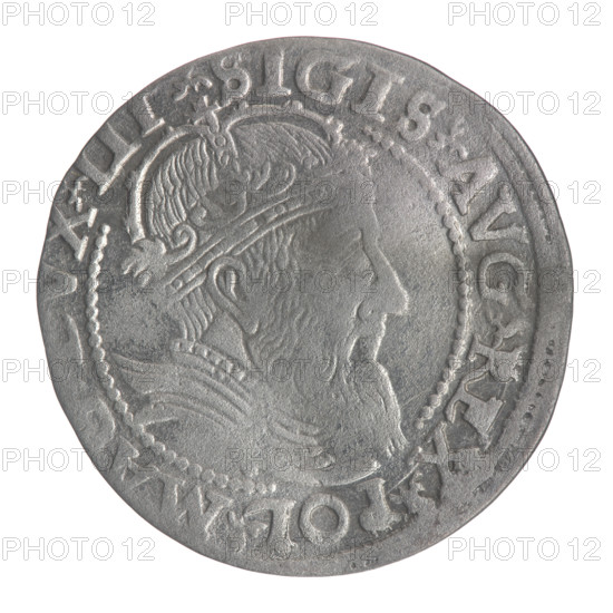 Obverse: Crowned male bust in armour facing right, rim inscription divided at top by a crown cross: .SIGIS.AVG.REX.POL.MA, X.LI. Reverse: Lithuanian Pogon (Chase) facing left, below the date 1559 and the Columns of Gediminas coat of arms dividing the rim inscription: .MONETA.MAGNI - DVCAT9.LITVA, 1559. Lithuanian grosz struck under Sigismund II Augustus (King of Poland, 1544–1572 / 1520–1572), Jagiellonian dynasty; coin of the Grand Duchy of Lithuania, diameter ~24.3–24.6 mm, weight 2.28 g.