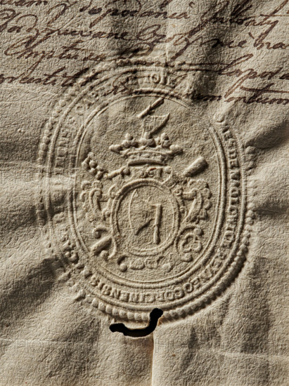 Seal of Count Józef Rej, Starosta of Korczyno. Oval impression in a decorative oval cartouche showing the Topór coat of arms with a jewel above the crown. Partially illegible rim inscription: 'DE NAGLOWICE REYNEO CORCINENSIS ET CASTRI PILZNENSIS CAPITANEUS.' Date: 1789. Poland. Seal. Dimensions: 44 mm and 53 mm. Maker: Zurakowski, Witold (?-1927). Rej, Józef (fl. ca. 1789)., The image shows a close-up of a textured, wrinkled parchment or paper in beige and tan tones with a raised embossed oval seal featuring ornamental flourishes and a central emblem topped by a crown; there are darker brown ink pen marks and cursive handwriting visible across the upper area, and a small irregular dark hole near the bottom edge of the embossed area; shadows accentuate the creases and the three-dimensional detail of the seal, with variations of light beige, tan, brown, and dark brown throughout.