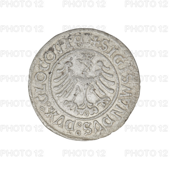 Glogów grosz, Sigismund I the Old (King of Poland; 1506–1548). Obverse: Pogon (coat of arms), horses, eagles, claws, wings; inscription in the rim divided by a cross: + KAZIMIRI : POLONIE : NATVS +. Reverse: Polish Eagle; inscription in the rim divided by a cross: + SIGISMVNDVS : DVX : GLOGOVIE +. Dated 1506–1548. Glogów, Poland. Coin; weight 2.16 g.