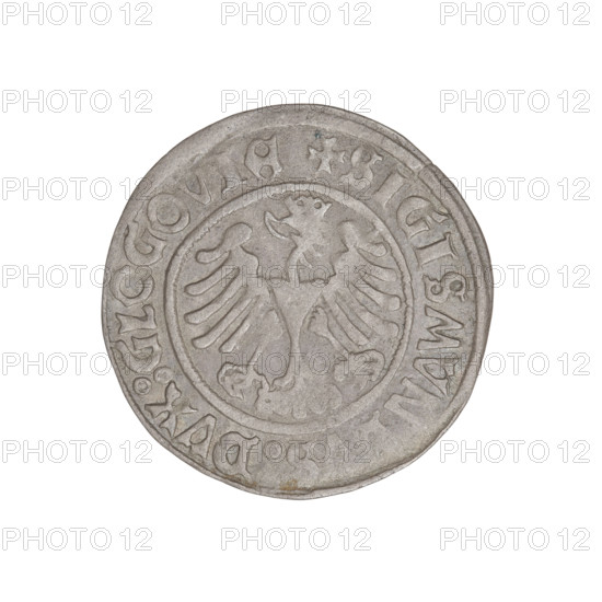 Glogów grosz, Sigismund I the Old (King of Poland; 1506–1548). Obverse: Pogon (coat of arms); inscription in rim divided by a cross: + KAZIMIRI : POLONIE : NATVS +. Reverse: Polish eagle, inscription in rim divided by a cross: + SIGISMVNDVS : DVX : GLOGOVIE +. Dated 1506–1548. Coin from Glogów, Poland; weight 1.94 g.