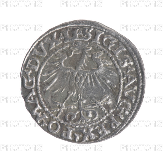 Lithuanian half-grosz, Sigismund II Augustus (King of Poland; 1544–1572). Obverse: Polish Eagle; in the rim between pearly borders the inscription 'SIGIS.AVG.REX.PO.MAG.DVX.LI'. Reverse: Lithuanian Pogon, below the year 1553; in the rim between pearly borders the inscription 'MONETA.MAGNI.DVCAT9.LITVA'. 1553. Grand Duchy of Lithuania (Vilnius). Coin.