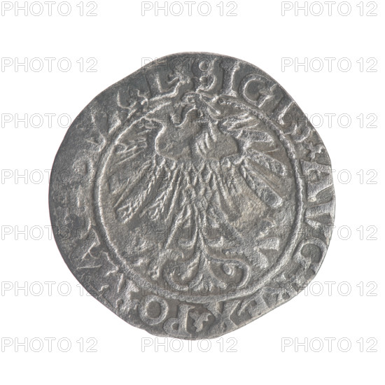 Lithuanian half-grosz, Sigismund II Augustus (King of Poland, 1544–1572). Obverse: Polish eagle; in rim between pearly borders the inscription 'SIGIS.AVG., X.PO.MAG.DVX.L'. Reverse: Lithuanian Pogon; below the year 1558; in rim between pearly borders the inscription 'MONETA.MAGNI.DVCAT9.LITVA'. 1558; features coats of arms of the Jagiellon dynasty; Polish coins; eagles; Grand Duchy of Lithuania; Vilnius.