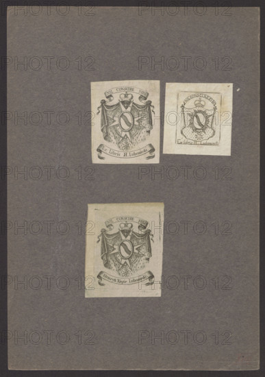 Maltese Cross on a paludamentum under a ducal mitre with the Szreniawa coat of arms superimposed in an oval. A chain with a smaller Maltese Cross suspended beneath it is woven into the arms of the cross. Above and below the paludament are ribbons with an inscription. This bookplate imitates the composition of Hieronim Lubomirski's bookplate made a hundred years earlier; unlike that earlier plate, this was not a highly technical engraving. A variant exists with an identical composition differing only in the inscription. After 1796, graphic print, bookplate. Height 7.4 cm, width 6.1 cm; height 8.5 cm, width 6.8 cm. Maker/associated name: Henryk Lubomirski (1777–1850).
