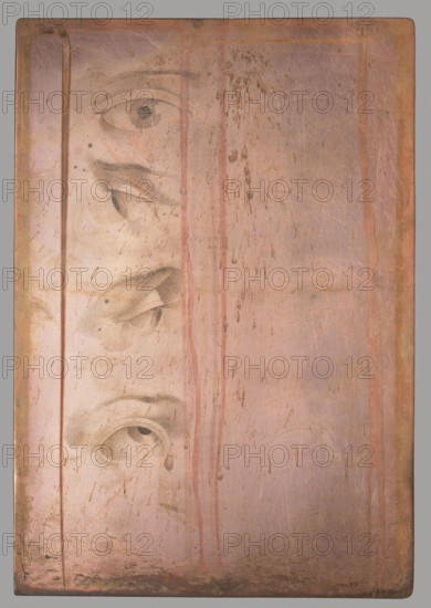Study of the human eye, graphic artist, after 1800, graphic, graphic matrix/plate; anatomical studies, eyes; height 32 cm, width 22.1 cm; maker: Tyszkiewicz, Konstanty (1806–1868).