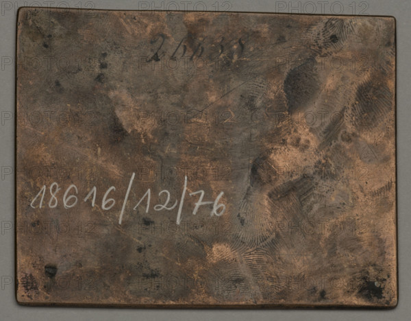 Sitting Dog, Plonski, Michal (1778–1812), graphic artist; Witke-Jezewski, Dominik (1862–1944); animals; dogs; animal studies; 1802; Amsterdam; graphic; graphic matrix; graphic plate; height 6.2 cm; width 8 cm
