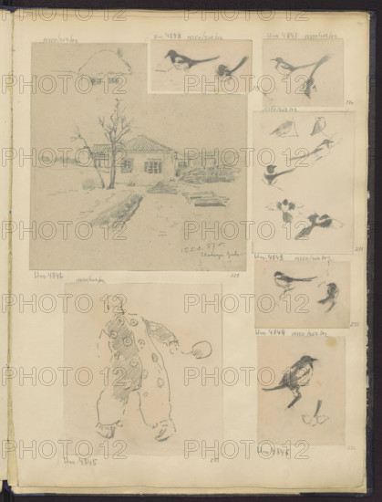 Clown, Tanski, Czeslaw (1862–1942), illustrator; 1884–1887; drawing; height 16.4 cm, width 15.1 cm; subject: clown.