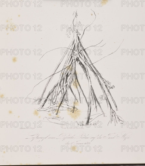 1) Tree trunk on the island of Tuaimaiduba, December 30, 1842; 2) Roots of the passuiba palm on the island of Moju, January 2, 1843. Adalbert (Prince of Prussia; 1811–1873), draughtsman; Wilhelm Loeillot (1827–1876), draughtsman. Brazil, South America; travels; lithographs; German graphics. Subjects: trees, exoticism, palm trees, jungle, equatorial forests, vegetation, plants, flora, nature, rivers, islands. 1847. Graphic print; graphic art; album page. Dimensions (irregular composition): height 50.9 cm, width 35.2 cm.