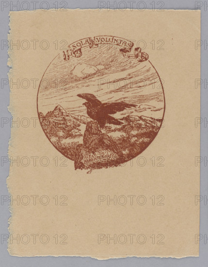 Ex libris Alberto Grosso; Alberto Grosso (1860–1928), graphic artist; bookplate (own bookplate), tonda; before 1928; subject: mountain landscapes with sky, clouds, rocks, eagles and other birds; Latin inscriptions; graphics.