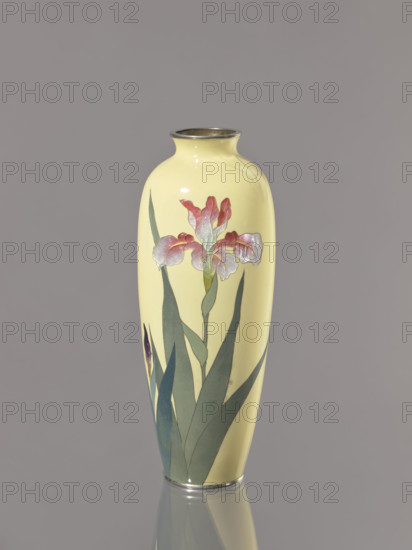 Vase, Ôta, Jinnoei (fl. ca. 1870–1920), Japanese, irises and flowers, Meiji period (1868–1912), shosen (cloisonné enamel), ca. 1900–1910, vessel; height 24.6 cm, diameter 9.5 cm.