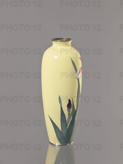Vase, Ôta, Jinnoei (fl. ca. 1870–1920), Japanese, irises and flowers decoration, Meiji (1868–1912), shosen (cloisonné enamel), ca. 1900–1910, vessel; height 24.6 cm, diameter 9.5 cm