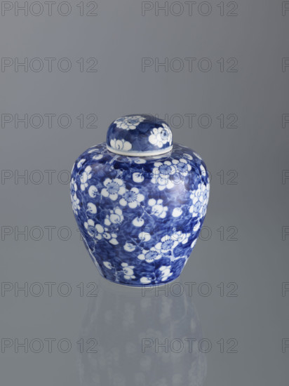 Ginger vessel with lid; Chinese; Qing dynasty (1644–1911); 19th century; spice vessel/decorative vessel; cracked-ice ornament; plum trees; porcelain; height 18.0 cm; width 15.0 cm WQXBCFS