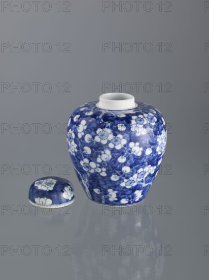 Ginger vessel with lid; Chinese; Qing (1644–1911); spice vessel; decorative vessel; cracked-ice ornament; plum trees; 19th century; China; vessel; height 18.0 cm; width 15.0 cm WQXBCFS