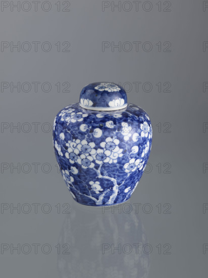 Ginger vessel with lid; Chinese; Qing (1644–1911); spice vessel; decorative vessel; cracked ice ornament; plum trees; 19th century; China; vessel; height 18.0 cm; width 15.0 cm WQXBCFS