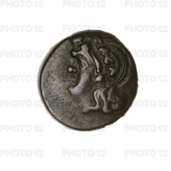Bronze coin (Pantikapaion), obv.: head of beardless Satyr in ivy wreath facing left; rev.: lion head facing left, below it sturgeon facing left, letters at the top and sides; iconography: lion head, Satyr head; subjects: Satyr (mythology), lions, animals, fish (sturgeons); dated 315–300 BC, Cimmerian Bosporus (Pantikapaion); coin; dia. 21.1 mm / 21.0 mm, weight 6.82 g, axis 330°