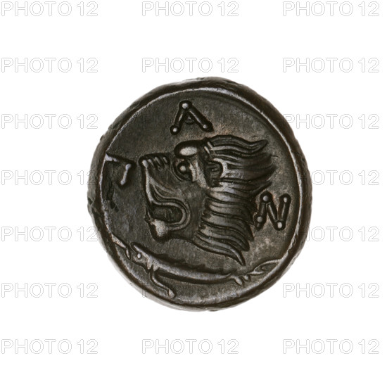 Bronze coin, Pantikapaion; obv.: head of beardless Satyr in ivy wreath facing left; rev.: lion head facing left, below it sturgeon facing left, letters at the top and sides; iconography: lion head, Satyr head; themes: Satyr (mythology), lions, animals, fish, sturgeons; Cimmerian Bosporus, Pantikapaion; 315–300 BC; coin; diameter 21.1 mm (other measurement 21.0 mm); weight 6.82 g; axis 330°.