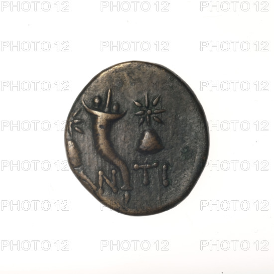 Bronze coin from Pantikapaion; obverse: head of bearded satyr in ivy wreath facing left; reverse: cornucopia with Dioscuri caps topped with stars on the sides and inscription below; iconography: cornucopia, Dioscuri caps, satyr's head; mythology: Satyr, Dioscuri; 4th quarter of the 2nd century BC, Cimmerian Bosporus (Pantikapaion); coin; diameter 18.8 mm (one side 17.7 mm), weight 3.55 g, axis 0°.