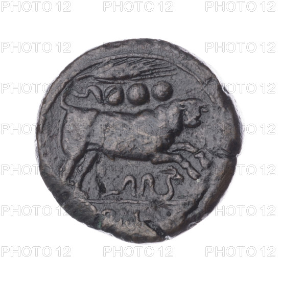 Quarter; obverse: head of Hercules in boar's skin facing right; behind it the value sign ooo. Reverse: attacking bull facing right; above the ear of grain and the value sign ooo; below, a snake; under the line the inscription 'M'. Iconography: bulls, head of Hercules, Hercules (mythological), attacking bull, snakes, ears of grain. Inscription: M. Date: 211–210 BC. Culture: Roman Republic (505–27 BC), Sicily. Object: coin; diameter 26.5 mm; weight 14.96 g; axis 135°.
