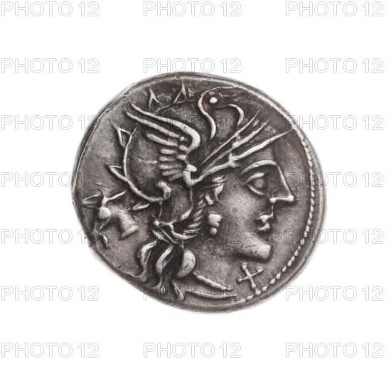 Denarius; issuer: M. Iunius (fl. 145 BC); obverse: helmeted head of Roma right, donkey's head behind, value mark X in front; reverse: Dioscuri galloping right, below inscription M. IVNI, below the line inscription ROMA; date: 145 BC; culture: Roman Republic (505–27 BC), Rome; subject: Dioscuri (mythology), horses, donkeys, head of Roma, helmets; material: coin; diameter 18.5 mm; weight 3.67 g; axis 135°.