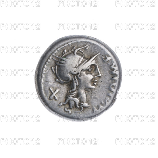 Denarius, M. Cipius (fl. 115–114 BC), publisher. Obverse: head of Roma wearing a helmet facing right; in front the inscription M. CIPI. M F; behind, value mark X. Pearl border. Reverse: Victoria driving a biga right, holding reins in her left hand and a palm branch in her right; rudder below; inscription under the line. Pearl border. 115–114 BC, Roman Republic; Rome. Coin; diameter 16.2 mm, weight 3.92 g, axis 135°.