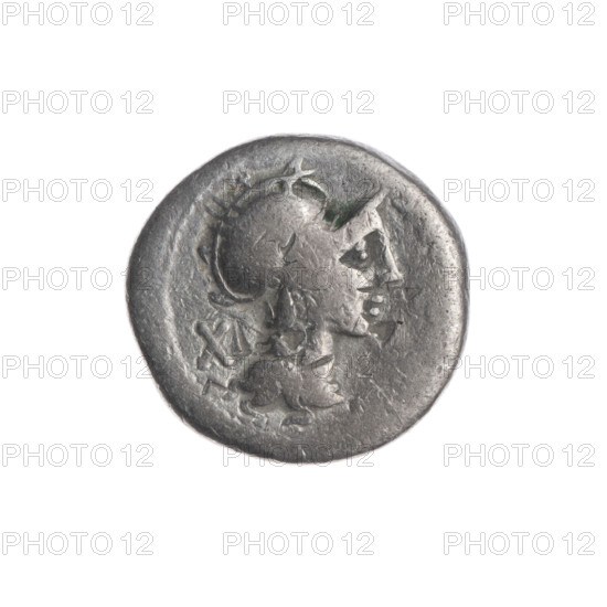 Denarius; issuer: M. Cipius (fl. 115–114 BC), publisher. Obverse: Head of Roma wearing a helmet facing right; in front, inscription; behind, value mark X. Pearled border. Reverse: Victoria driving a biga to the right, holding reins in left hand and a palm branch in right; rudder below; inscription under the line. Attributes: horses, helmets, palm branches, rudders. Materials/style: Roman Republic coin, 115–114 BC. Diameter 16.5 mm; weight 3.72 g; axis 45°.