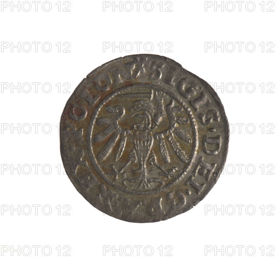 Gdansk szelag, Sigismund I the Old (King of Poland; 1506–1548), szelag (coin), Gdansk (Pomeranian Voivodeship). Obv.: Eagle of Royal Prussia; on the rim between pearl borders inscription: .SIGIS.DEI.GR, EX.POLON. Rev.: Coat of arms of Gdansk; on the rim between pearly borders inscription: .MONE.CIVI.GEDANEN.1538. Date: 1538. Material: coin. Diameter: 19.8–20.0 mm. Axis: 315°. Weight: 1.08 g. Subjects/icons: Jagiellons (dynasty), royal crown (iconography), coats of arms, eagles.